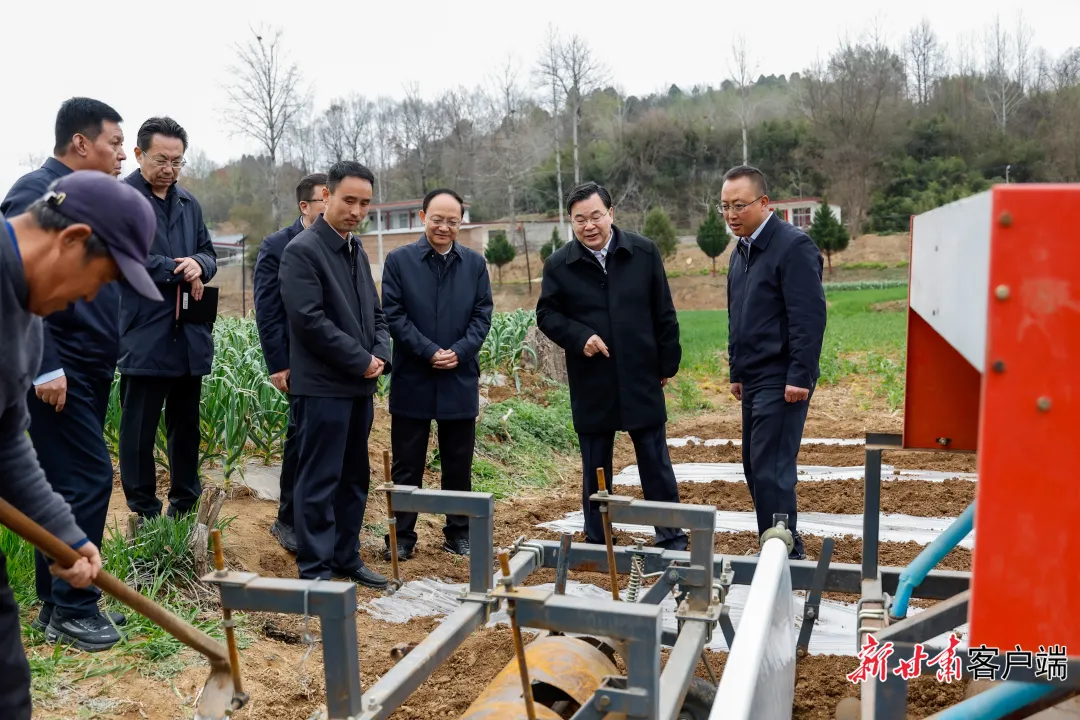 FZ007247701644_A5636992 图片